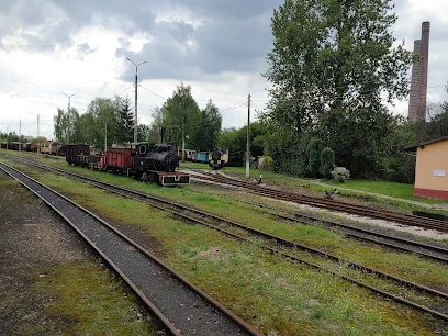 Bytom Wąskotorowy (przystanek kolejki wąskotorowej)
