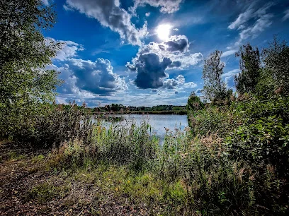 Żabie Doły